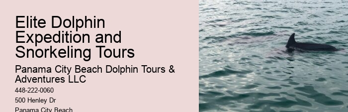 Panama City Beach Dolphin Tours Prices