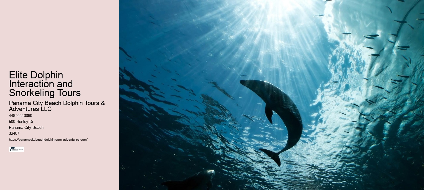 Dolphin boat tours at Panama City Beach