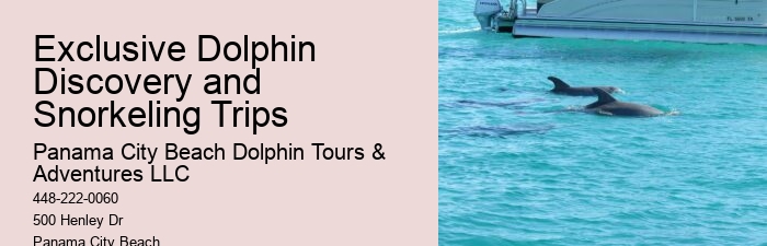 Private Dolphin Tours Hilton Head