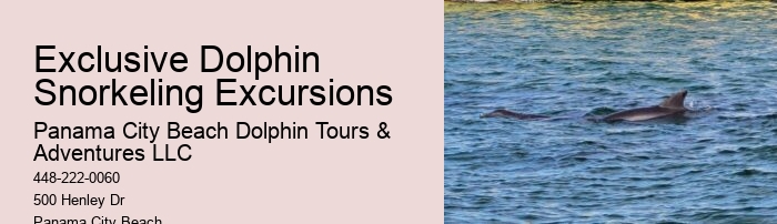 Do You Have To Wear A Wetsuit To Swim With Dolphins