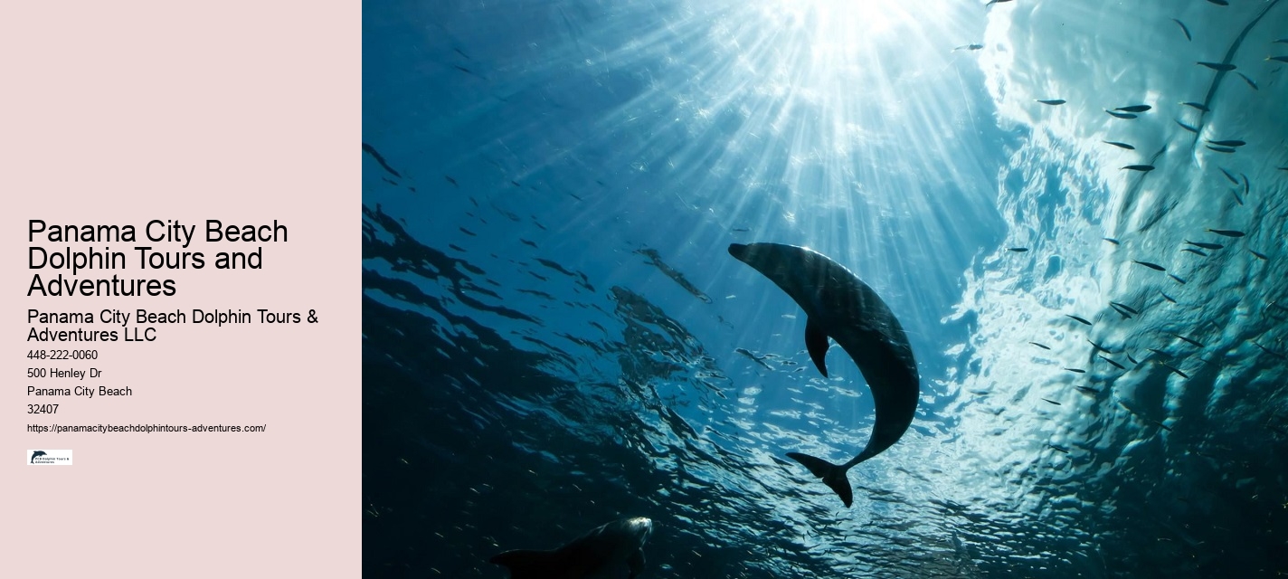 Panama City Beach Florida Boat Tours