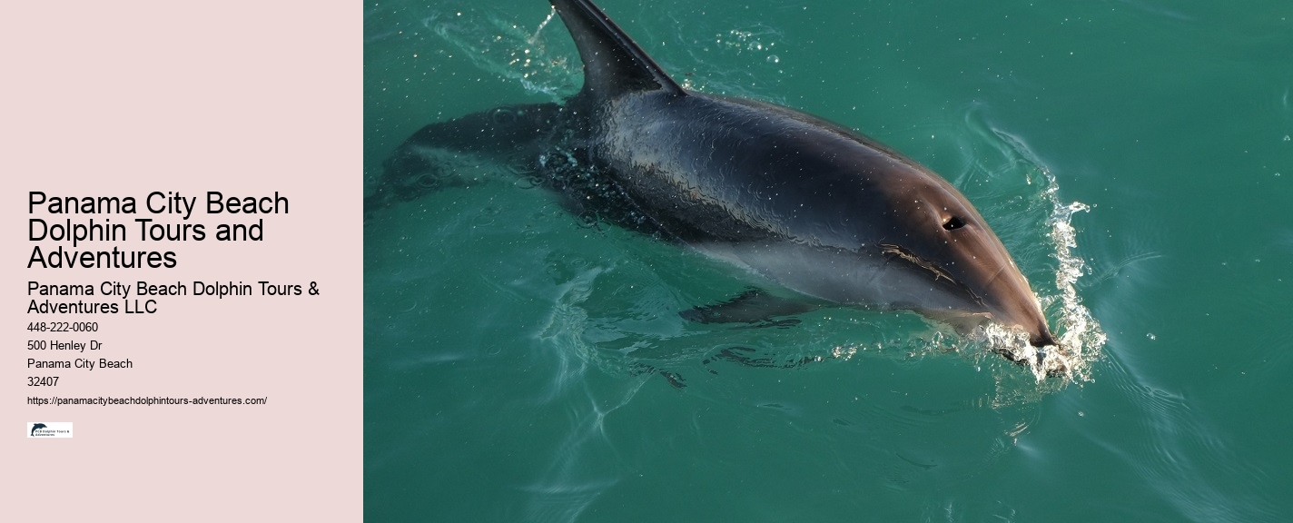 Do You Need Water Shoes For Dolphin Encounter