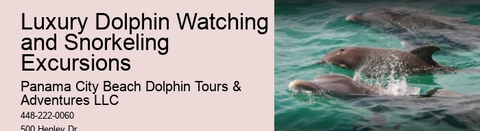 9 Great Dolphin Tours In Panama City Beach