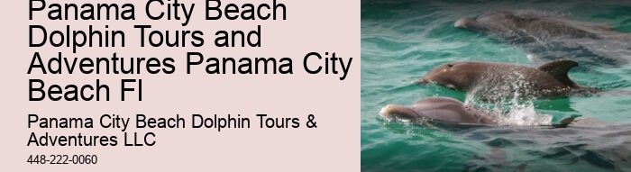 Do Dolphins Swim Close To Cruise Ships