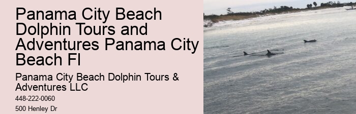 Salty Excursions