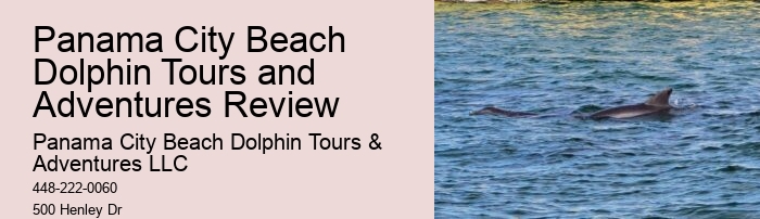 Can I touch the dolphins during the tour