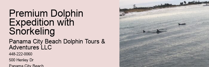 Panama City Beach Dolphin Sunset Cruise