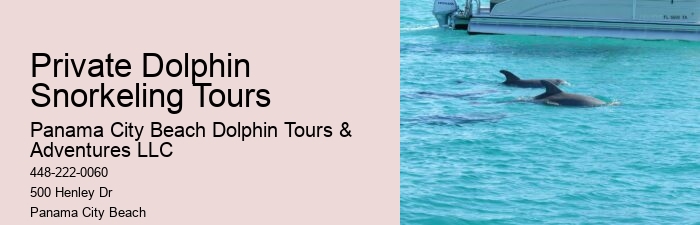 What Are The Risks Of Hugging Dolphins In The Wild