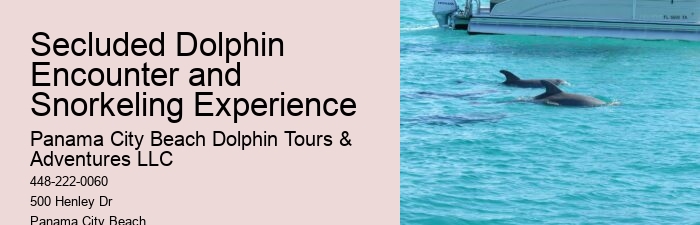 30a Dolphin Tours