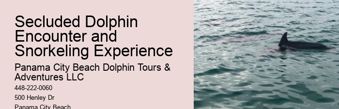 Panama City Beach dolphin watching trips