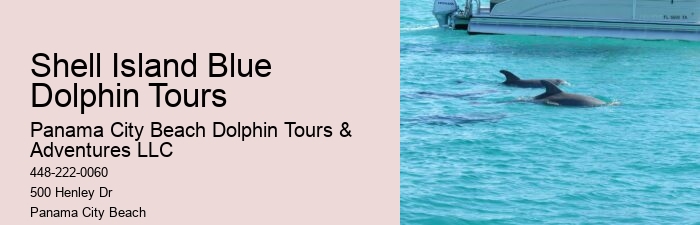 Blue Dolphin Tours Panama City Beach Fl