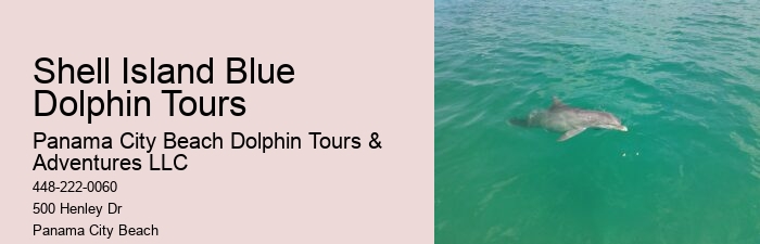 Dolphin watching excursions at Panama City Beach