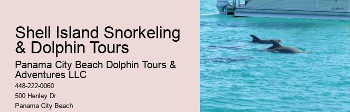 How do I get to the departure point for the dolphin tour