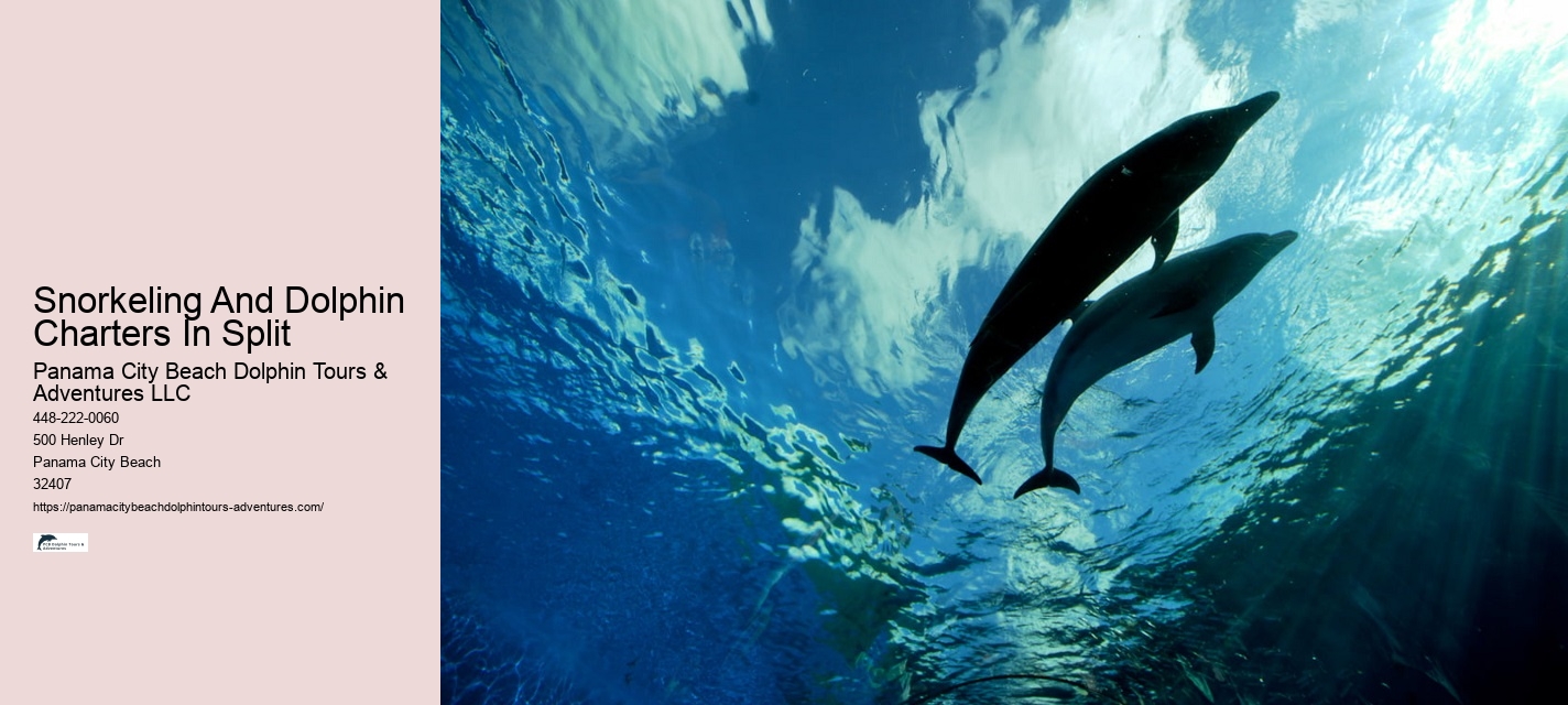This Is How Dolphins 'see' Humans With Echolocation
