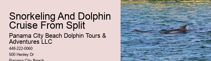 Can The Dolphin Pool Cleaner Get Wet