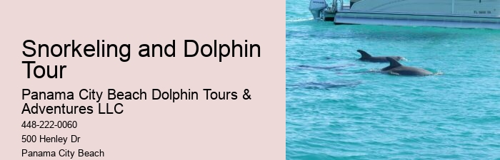 Are Untrained Dolphins Friendly