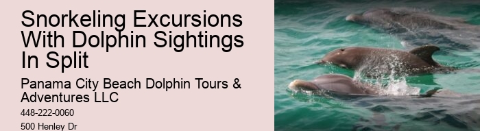 Split Romantic Dolphin Watching And Snorkeling Tours