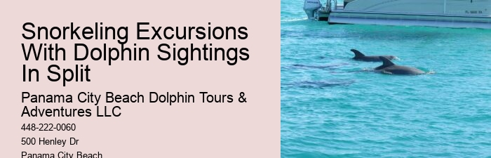 Exclusive Dolphin Exploration and Snorkeling