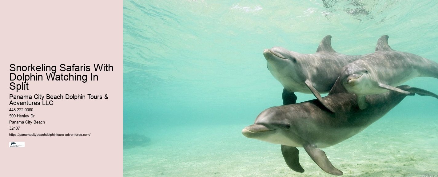 Best Panama City Beach Boat Tours
