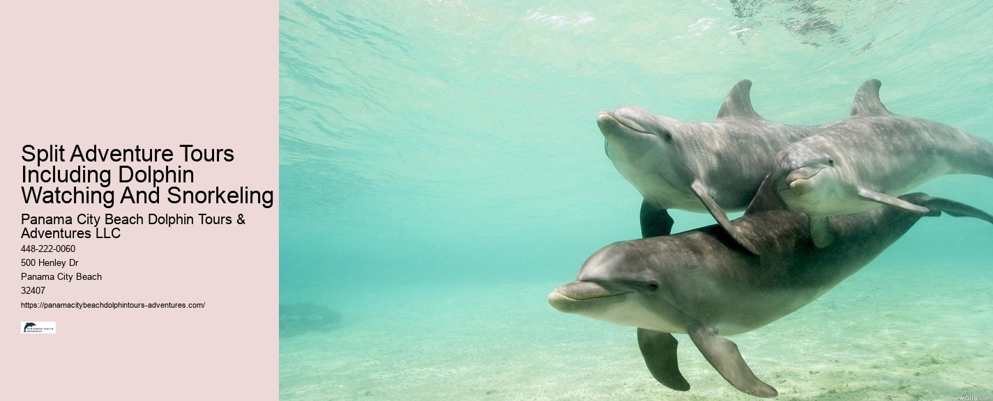 Dolphin Tours Rehoboth Beach