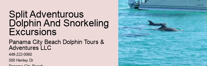 Split Customized Dolphin And Snorkeling Itineraries