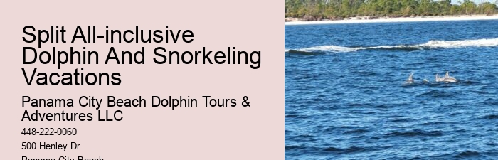 Boat 3d Tours