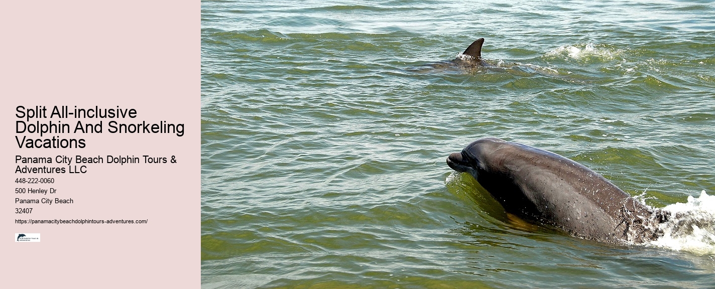 Private Dolphin Tours Orange Beach