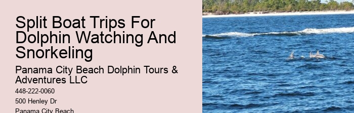 PCB Dolphin Watching Trips