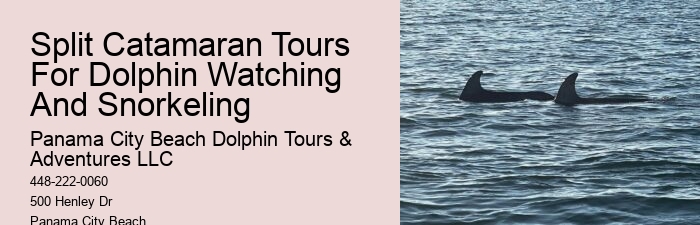 Boat Tours