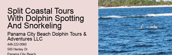 Dolphin Sightseeing