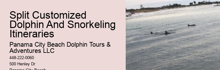 Snorkeling Tours
