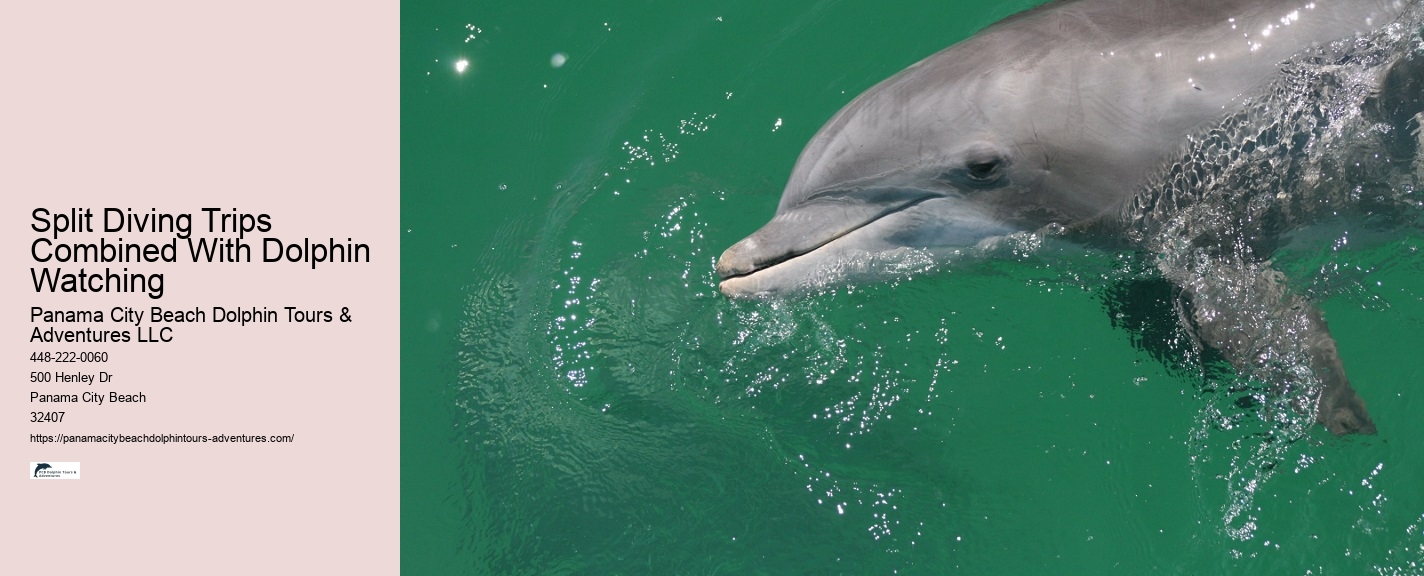 Are Dolphins Naturally Friendly Toward Humans If So