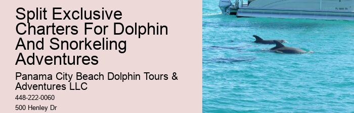 Panama City Beach Boat Tours To Shell Island