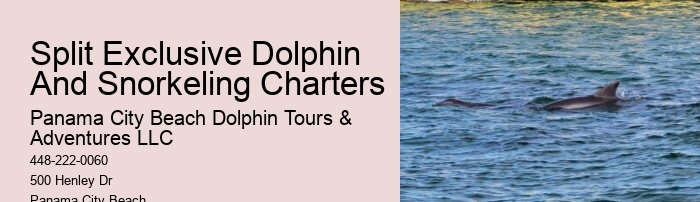 Salty Mary Dolphin And Snorkel Tours Reviews