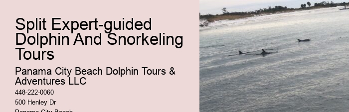 PCB Dolphin Sightseeing Trips