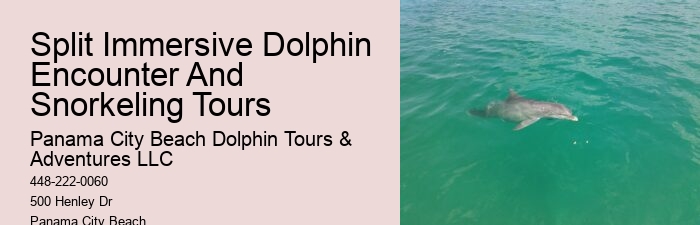 Panama City Beach dolphin adventure tours