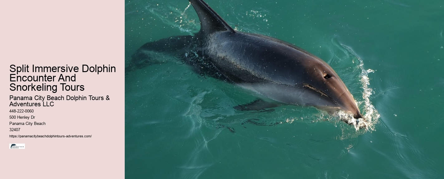 Panama City Beach marine life tours