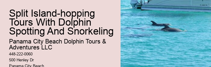 Sweet Sunsets And Dolphin Tours
