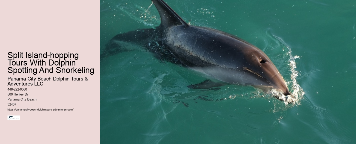 Do We Need Water Shoes To Swim With The Dolphins At Ocean World