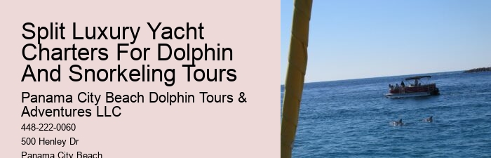 Split Expert-guided Snorkeling And Dolphin Adventures
