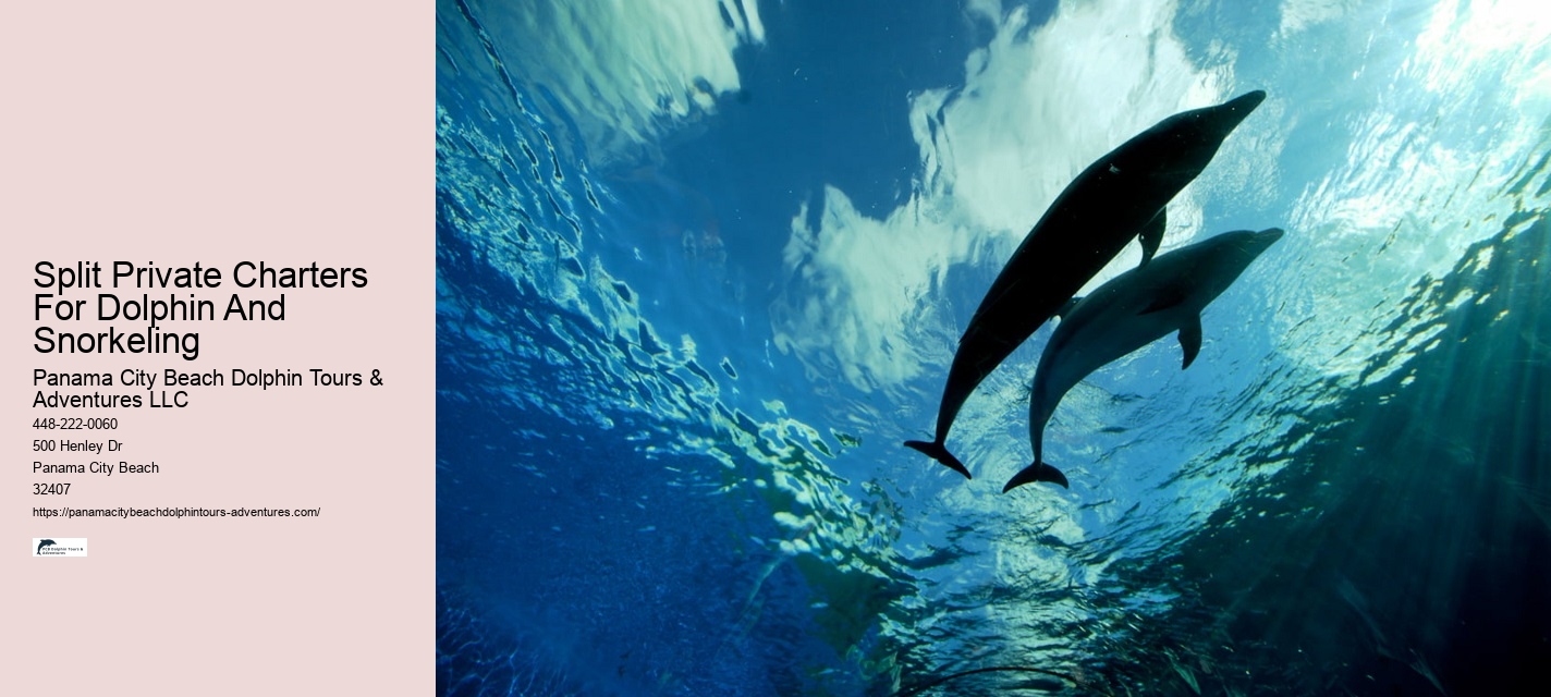 Port Aransas Dolphin Tours