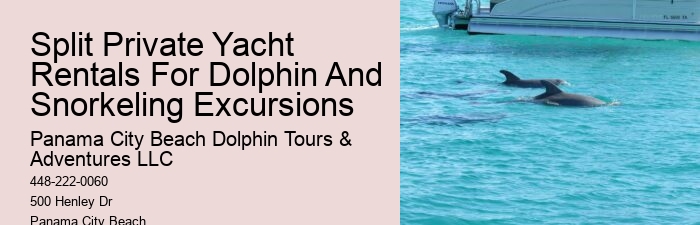 How Long Does It Take To Swim With Dolphins