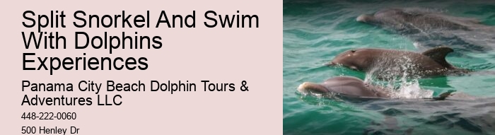 Private Tour