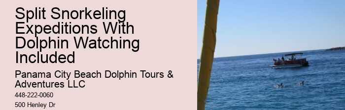 Are there any specific clothing recommendations for the dolphin tour