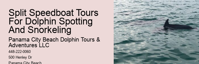 Boat Tour