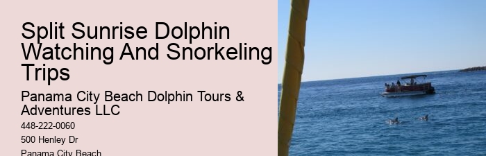 Split Off-the-grid Dolphin And Snorkeling Excursions
