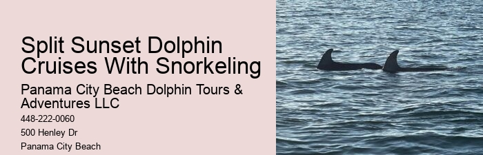 Are Panama City Beach dolphin tours suitable for people with disabilities