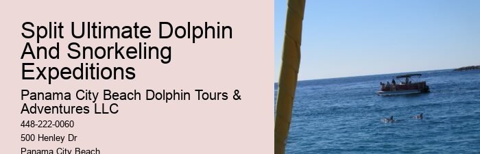 Snorkeling gear