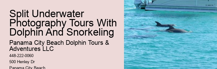 How Much Does Dolphin Cove Cost