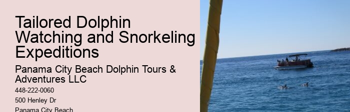 Split Thrilling Snorkeling And Dolphin Encounters